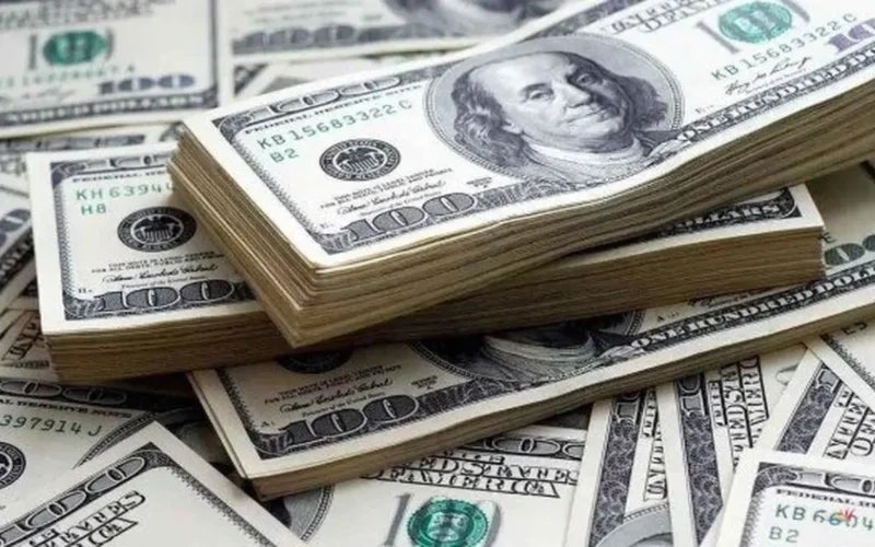 سعر الدولار مقابل الجنيه المصري يتراجع خلال منتصف تعاملات الاثنين 8 ديسمبر 2025